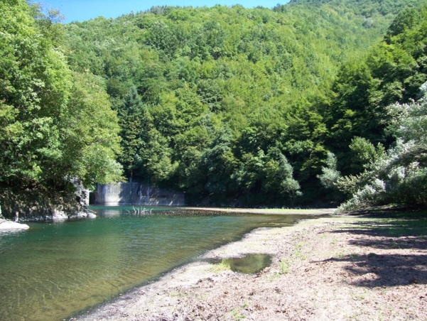  Image name: Fiume15.jpg 
 width: 601 pixel 
 height: 452 pixel 
 Size: 324857 bytes 
 Click to enlarge 